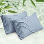 Bedsure Cooling Pillow Case Queen Size 2 Pack - Rayon Made from Bamboo, Washed Blue Pillowcase, Soft & Breathable Pillow Covers with Envelope Closure, Gift for Hot Sleepers in Summer, 20x30 Inches