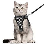 CatRomance Cat Harness and Leash Se