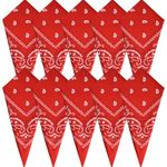 FEPITO 10Pcs Paisley Bandanas Assorted Cowboy Bandanas Novelty Cotton Bandanas for Men Womens (Red) (red)