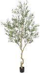 Nafresh Tall Faux Olive Tree，9ft（10