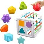 Brand Conquer Sensory Shape Sorter Blocks Toy-Activity Cube Bins-Montessori Educational Learning Fine Motor Skills Toys for Babies Toddlers 6 12 18 Months (Shape Sorter Blocks Activity Cube)