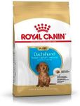 Royal Canin Dachshund Puppy Food 1.