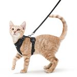 rabbitgoo Cat Harness and Lead Set, Adjustable Escape Proof Cat Lead for Walking, Reflective Kitten Harness Set, Soft and Comfortable for Small Cats, Black, S