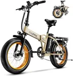 1000W Folding Electric Bike, 48V 20
