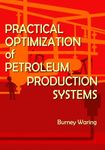 Practical Optimization of Petroleum Production Systems