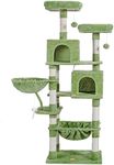 Heybly Cat Tree, 70 inches Tall Cat