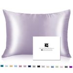 Ravmix 100% Mulberry Silk Pillowcase for Hair and Skin with Hidden Zipper, Both Sides 21Momme Silk, Standard Size 20×26 inches, 1PCS, 1PCS, Lilac