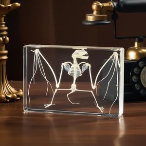 Resin-Embedded Real Bat Skeleton Specimen Ideal for Science Classroom Education – A Fascinating Gift for Enthusiasts of Taxidermy, Animal Skulls, Biology (Bat Skeleton Specimen(5.3x3.5x1.3 Inch)