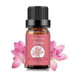 Sedbuwza Lotus Essential Oil, 100% Pure and Natural Premium Lotus Aromatherapy Oil for Diffuser, Humidifier, Perfume, Soap, Candle - 10ML