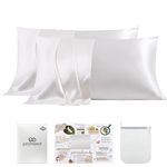 PROMEED White Silk Pillowcase 2 Pack for Hair and Skin, Both Sides 100% 23 Momme Mulberry Silk Pillow Case Set of 2 with Hidden Zipper, Soft and Breathable (Standard 20"x26", White)