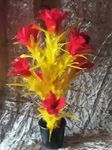 Patil Magic Flower Appearing 8-Bloom Bouquet from Wand Magic Trick