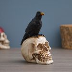 Shyam Antique Creation Resin Raven On Skull Halloween Decoration - Gothic Crow On Skull Statue, Bird Perching On Skeleton Figurine for Home Office Decor Macabre Ossuary Sculpture