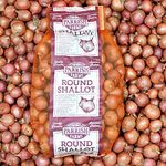 Medium Round Pickling Shallots 8kg (25-45mm) - Parrish Farms