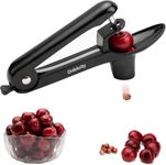 Ordekcity Cherry Pitter Tool Cherry Remover-Black