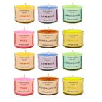 Floryn Decor Small Scented Candles Gift Set for Home Decor, Non-Breakable and Reusable Jars, Fragrances - Lavender, Rose, Vanilla, Jasmine, Sandalwood, Lemongrass (12)