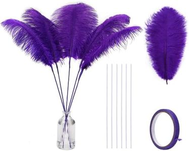 Holmgren Purple Large Ostrich Feather - 20pcs Making Kit 22 Inch Large Ostrich Feathersfor Crafts Floral Arrangement, Wedding Party Centerpieces Home Decorations (Purple)