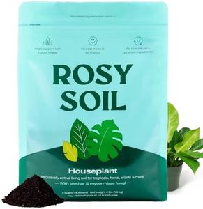 Rosy Soil 