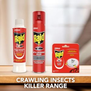 Raid Ant Bait Stations – Indoor & Outdoor Ant Killer, Pack of 12