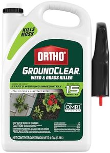 Ortho Grou