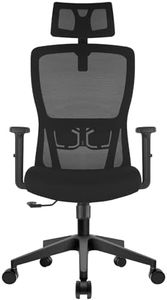 Durrafy Office Chair, Desk Chair with Adjustable Headrest, Lumbar support and Liftable Armrest, High Back Ergonomic Office Chair, Breathable Mesh Backrest for Comfy, Computer Chair for Home/Office