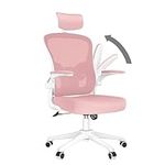 Naspaluro Ergonomic Office Chair: High Back Desk Chair with Lumbar Support,Tiltable Backrest,Adjustable Headrest, Flip-up Armrests,Swivel Mesh Computer Chair for Home Office,Study,Pink