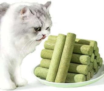 Cat Grass 