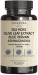 VINATURA Organic Sea Moss, Blue Vervain - with Black Seed Oil, Ashwagandha, Ginger, Burdock Root Capsules - 1250mg per Serving, *USA Made &Tested* Immune Booster for Adults