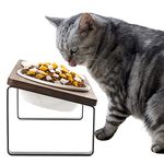 Sunhoo Cat Bowl Elevated Cat Food Water Bowls Raised Kitty Dish Set of 2 Ceramic 15° Tilted Puppy Dishes Pet Bowl with Bamboo Stand Indoor Anti Vomiting