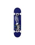 Birdhouse Stage 1 Full Skull 2 Complete Skateboard - 7.5", Blue