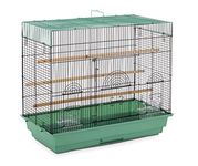 Prevue Pet Products SP1804-4 Flight Cage, Green/Black