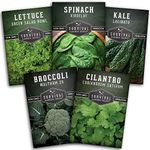 Cool Weather Seed Collection - Spinach, Kale, Cilantro, Broccoli, Leaf Lettuce Seeds to Grow in Your Home Vegetable Garden - Non-GMO Heirloom Varieties for Planting - Survival Garden Seeds