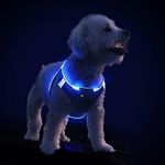 Light Up Dog Harness, Rechargeable LED Dog Harness for Puppy Small Medium Dogs Flashing Glow in the Dark Dog Harness Waterproof for Night Walking Reflective Dog Harness with Light, M