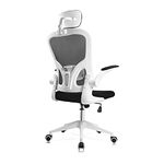 Ergo Desk Chair