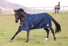 Rhinegold Torrent Outdoor Rug - 6/6 - Navy