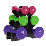 Dumbbell Weights Set,20lb 6Pcs Hand Fitness Weights Set Home Gym Exercise Weights Weight Lifting Dumbbell Set for Gyms Training Schools Rehabilitation Centers with Holder Rack, 2lb 3lb 5lb Pair Set