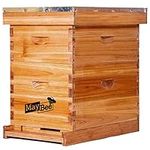 MayBee Beehive 8 Frame Bee Hives an