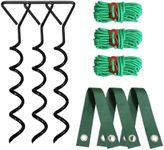 CCILAND 3 PCS Tree Stakes and Suppo