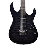Ibanez 6 String Solid-Body Electric
