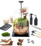 Terrarium Kit with Grow Light – 24-