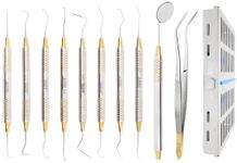 Dental Hygienists Instruments Tool 