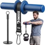 DMoose Fitness Forearm Exerciser & Wrist Roller - Forearm & Grip Strength Trainer - Available in Black, Blue & Red - Ideal for Grip, Wrist & Elbow Tendonitis (Blue)