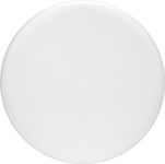 White Frisbee