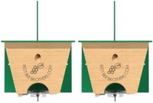 Best Bee Brothers Turbo Trap 2.0, P