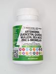 Clean Nutraceuticals Artemisinin Quercetin Zinc Mullein Quinine Supplement with Sea Moss Bromelain Ashwagandha Root Nettle Leaf Bladderwrack Burdock Root Monolaurin Colostrum Rutin