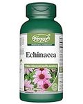 VORST Echinacea 800mg Per Serving (400mg Per Capsule) With 5:1 Extract Ratio (4000mg Raw Extract Equivalent) 120 Capsules | Anti Inflammatory for Common Cold & Flu, Immune System Supplement Support | Extra Strength | Alternative to Tincture /Liquid/Drops or Spray | 1 Bottle