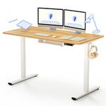 FLEXISPOT Electric Height Adjustable Standing Desk Sit Stand Desk with Memory Smart Pannel EF1 SERIES(100 * 60cm, White Frame+Maple Desktop)