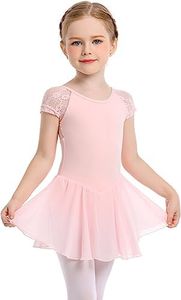 danswan Long Sleeve Ballet Skirted Leotards Dance Dresses Tutu Outfit for Ballerina Toddler Girls, S3- Ballet Pink (Lace), 2-3 Years