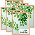 8x10 Picture Frame,OAK Wood Photo Frame with High Definition Glass ,Without Mat for Table and Home Decor,set of 6