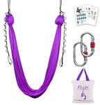 F.Life Aerial Yoga Hammock 5.5 Yards Include Daisy Chain,Carabiner and Pose Guide (Purple)