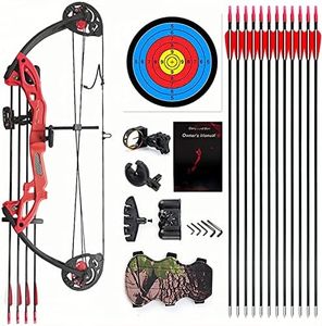 Lanneret Compound Bow and Archery Sets - Right Hand Archery Compound Bows 15-29 lbs Draw Weight Adjustable for Youth and Beginners，Hunting Bow Kit for Beginner